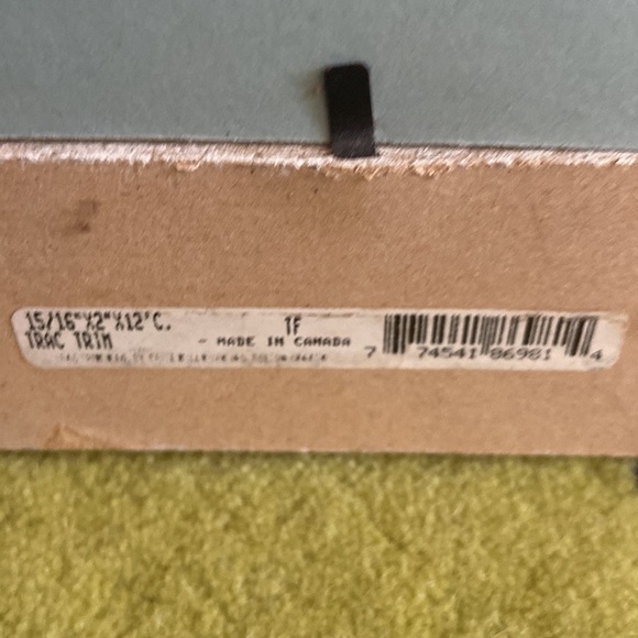 Michelle Thomas Portrait - Picture 6 of 7